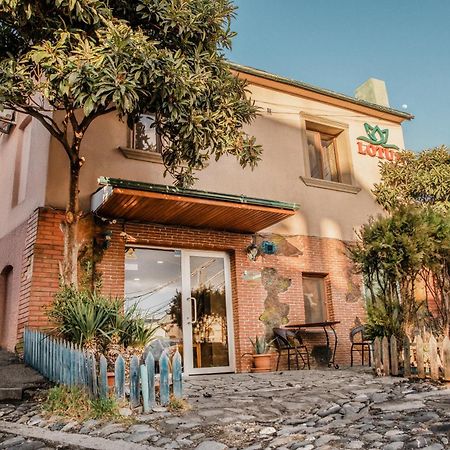 Lotus Hotel Τυφλίδα Εξωτερικό φωτογραφία